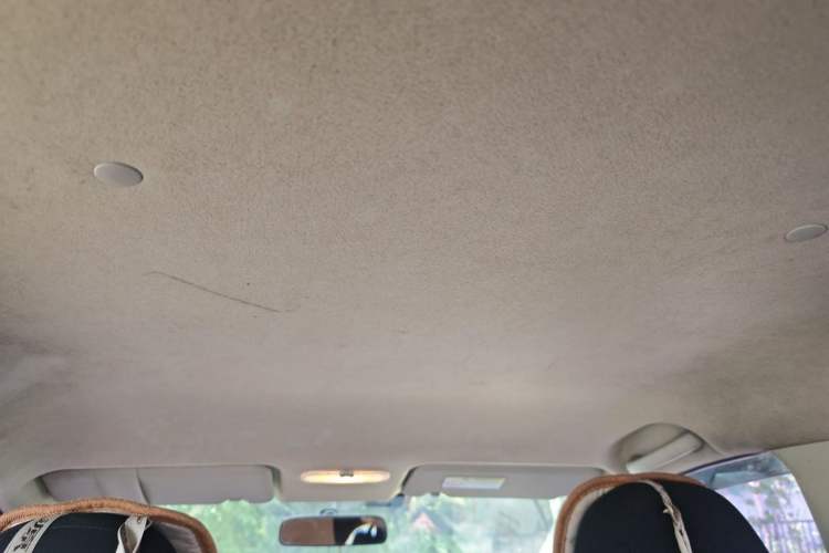 Used Venucia R50 2013 1.6L Manual Fashion Edition Headliner