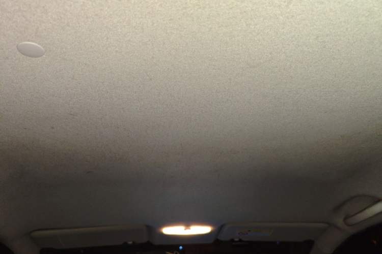 Used Venucia R50 2013 1.6L Automatic Fashion Edition Headliner