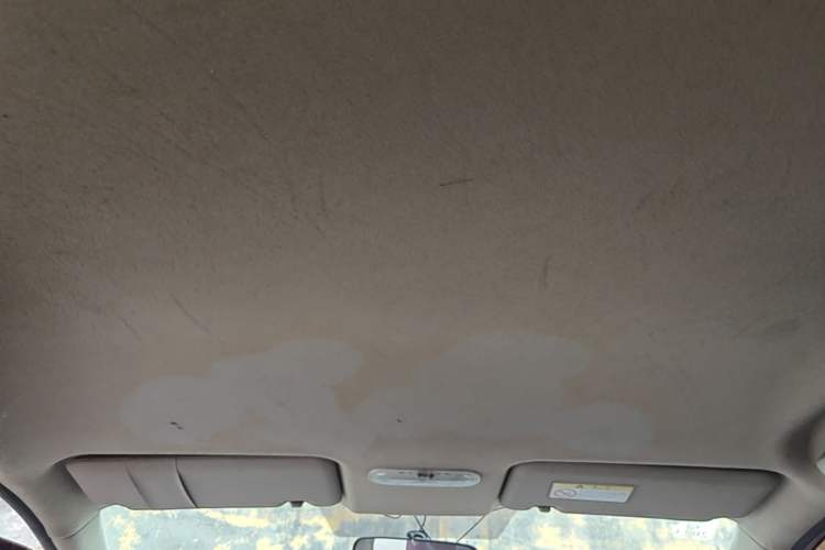 Used Venucia R50 2013 1.6L Manual Fashion Edition Headliner