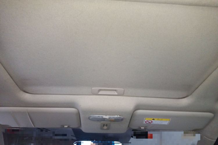 Used Venucia R50 2013 1.6L Automatic Luxury Edition Headliner