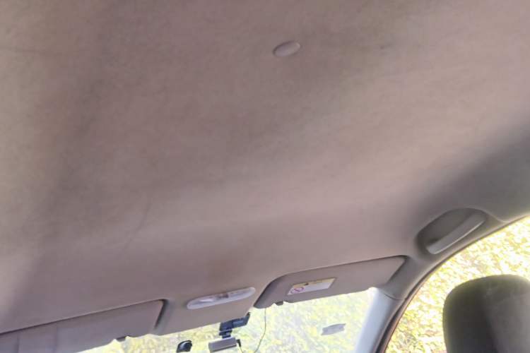 Used Venucia R50 2013 1.6L Manual Fashion Edition Headliner