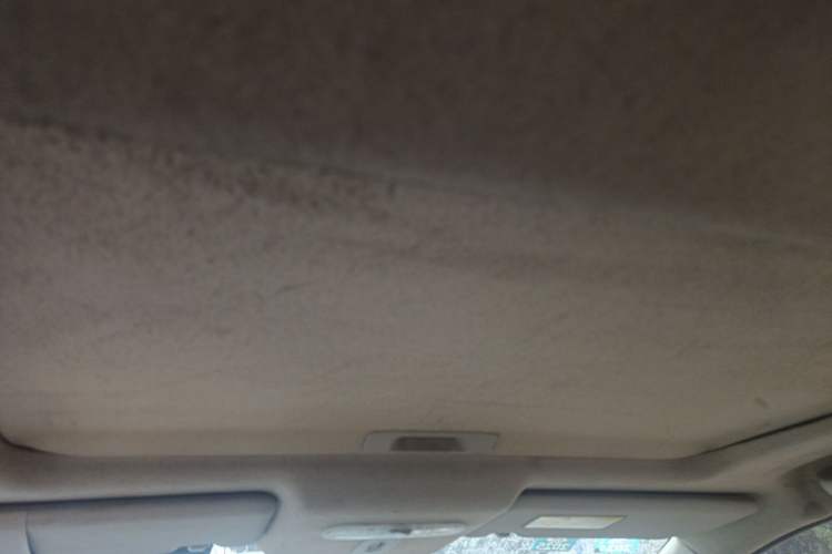 Used Venucia R50 2013 1.6L Manual Luxury Edition Headliner