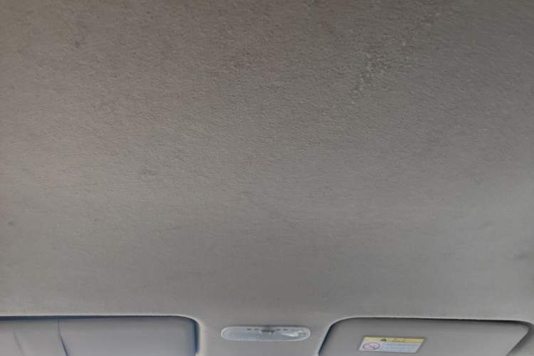 Used Venucia R50 2013 1.6L Automatic Fashion Edition Headliner