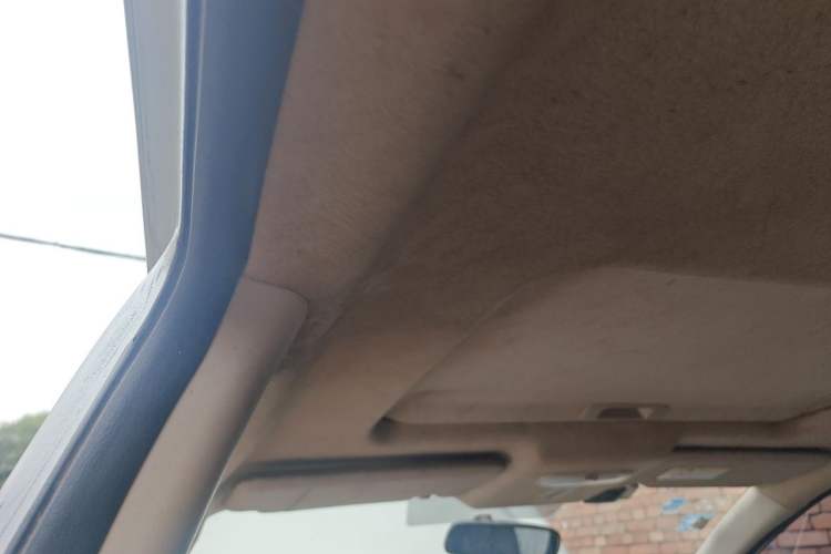 Used Venucia R50 2013 1.6L Manual Luxury Edition Headliner
