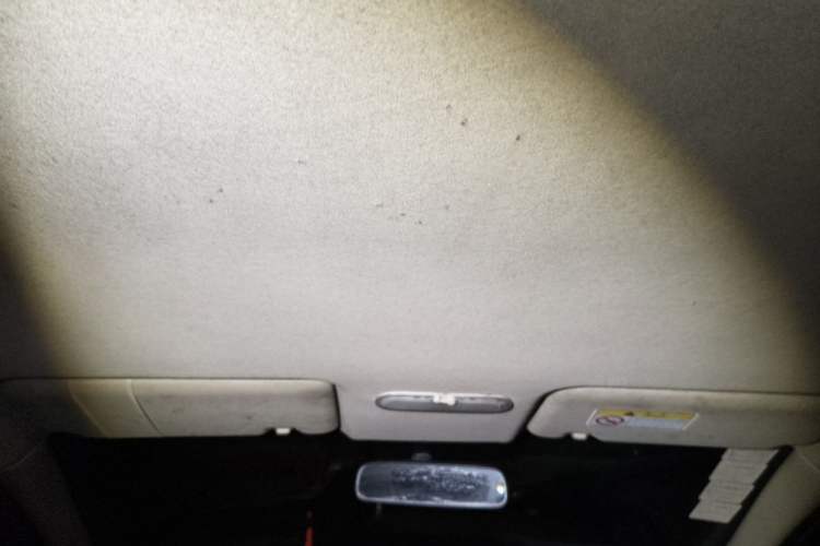 Used Venucia R50 2013 1.6L Automatic Fashion Edition Headliner