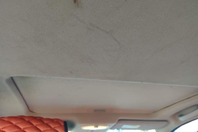 Used Venucia R50 2013 1.6L Automatic Luxury Edition Headliner