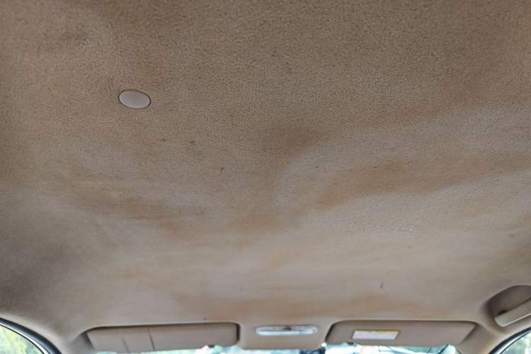 Used Venucia R50 2013 1.6L Manual Fashion Edition Headliner