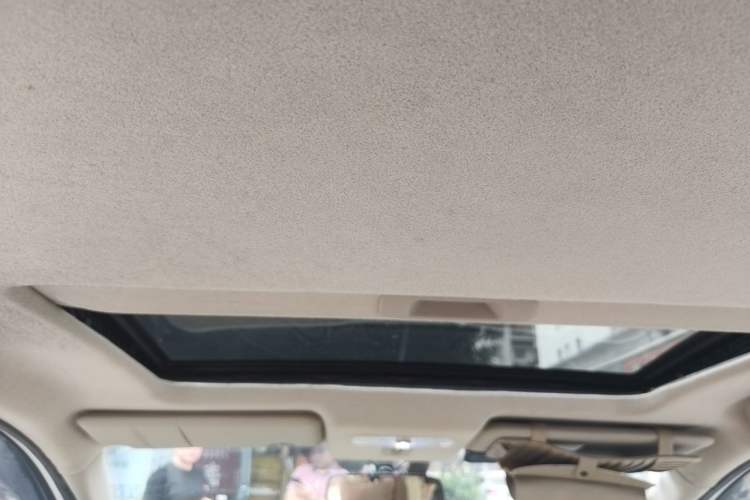 Used Venucia R50 2013 1.6L Automatic Luxury Edition Headliner