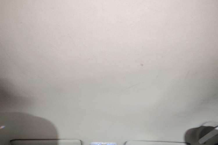 Used Venucia R50 2014 1.6L Automatic Splendid Edition Headliner