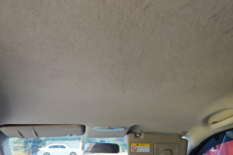 Used Venucia R50 2015 1.6L Automatic Fashion Edition Headliner