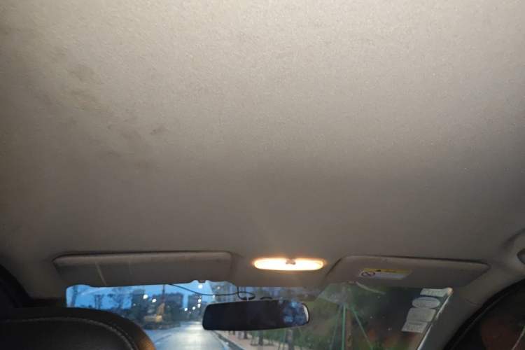 Used Venucia R50 2015 1.6L Manual Fashion Edition Headliner
