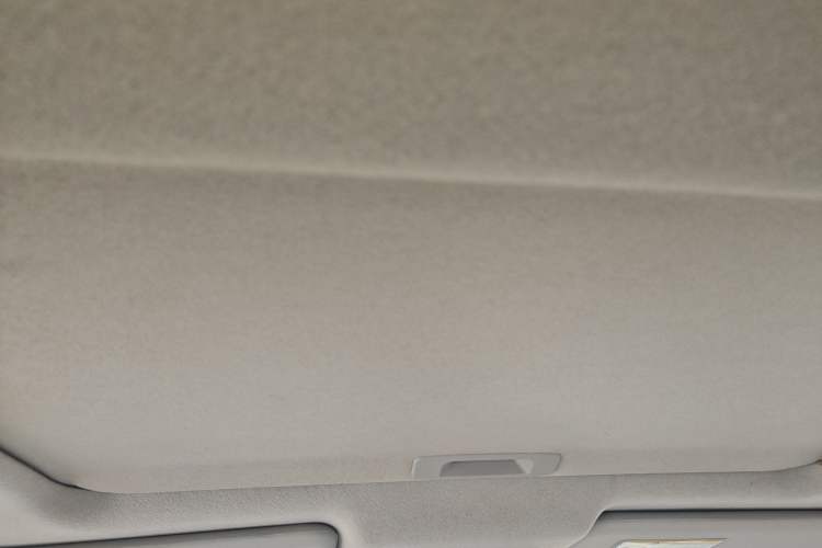Used Venucia R50X 2013 1.6L Automatic Model Headliner