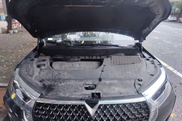 Used Venucia Star 2020 260T Automatic 48V Mild Hybrid Turbocharged Star Edition Engine Bay