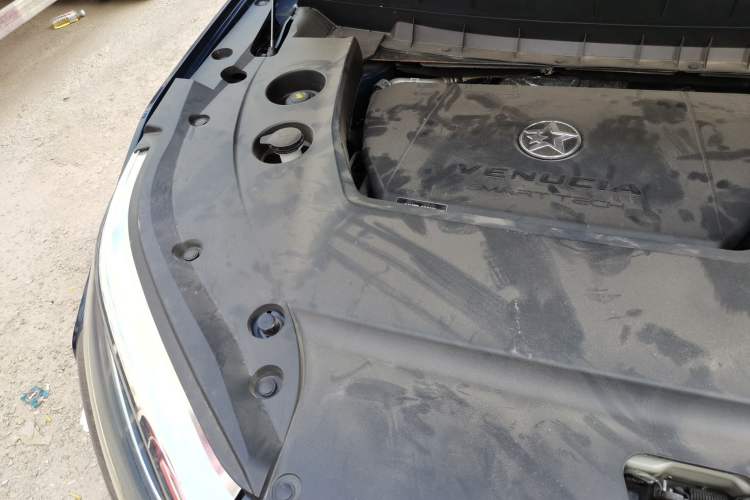 Used Venucia Star 2020 260T Automatic 48V Mild Hybrid Turbocharged Starry Edition Engine Bay Right