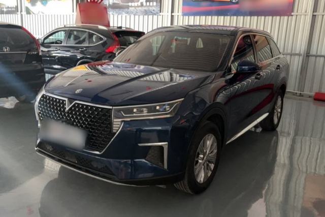 Used Venucia Star 2020 260T Automatic XingShang Edition