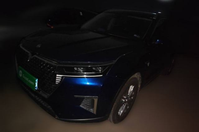 Used Venucia Star 2020 260T Automatic 48V Mild Hybrid Turbocharged Star Edition