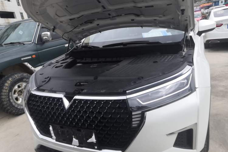 Used Venucia Star 2020 260T Automatic XingShang Edition Engine Bay