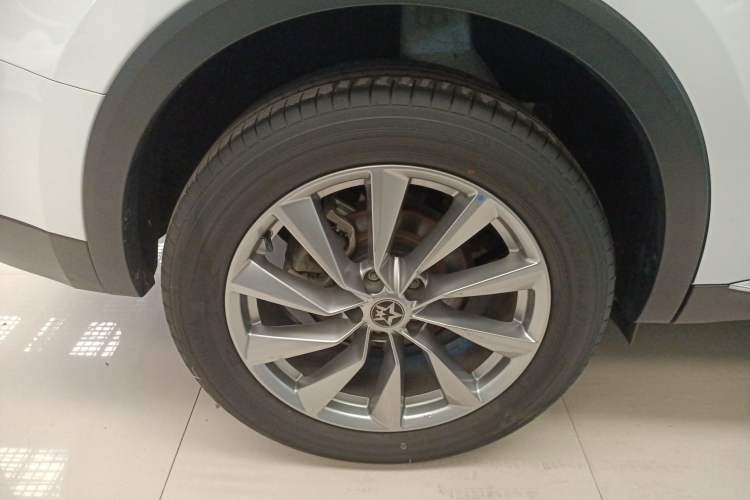 Used Venucia Star 2023 260T Starful Achievement Edition Pro Exterior 8