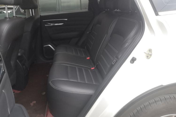 Used Venucia Star 2020 260T Automatic XingShang Edition Left Rear Seat