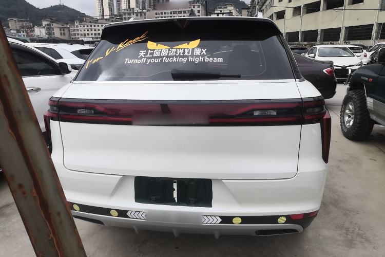 Used Venucia Star 2020 260T Automatic XingShang Edition Rear