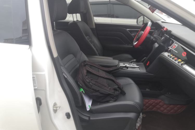 Used Venucia Star 2020 260T Automatic XingShang Edition Right Front Seat