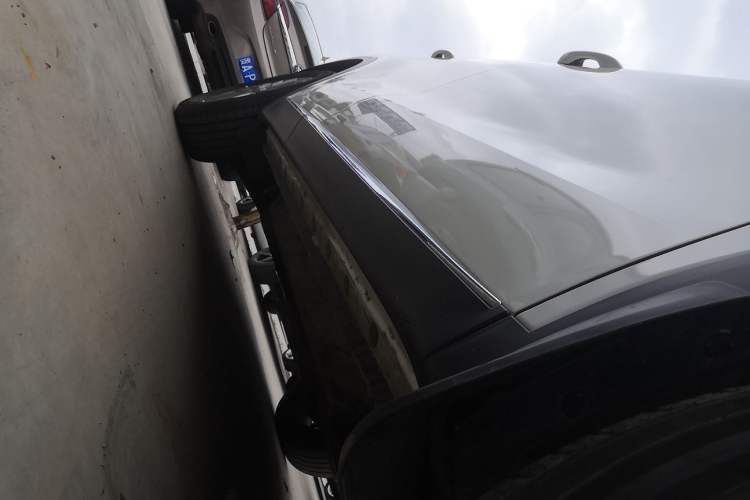 Used Venucia Star 2020 260T Automatic XingShang Edition Right Side Sill
