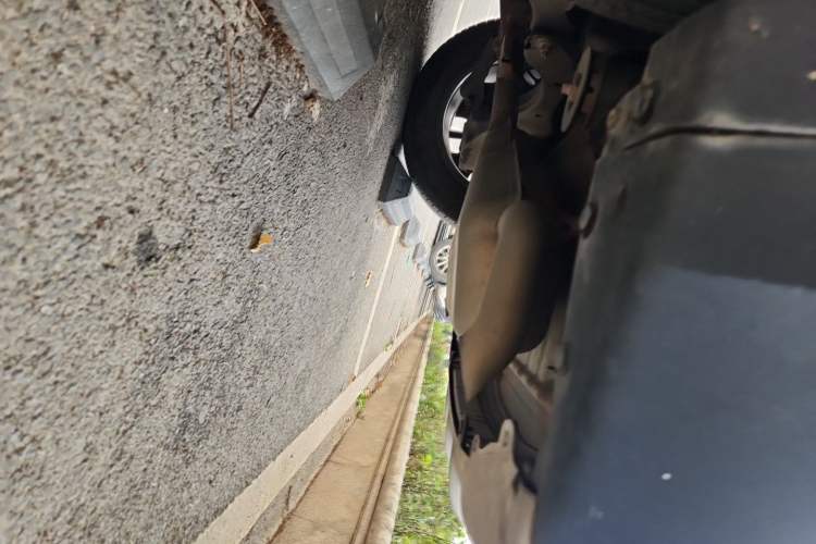 Used Venucia Star 2020 260T Automatic XingShang Edition Chassis Rear