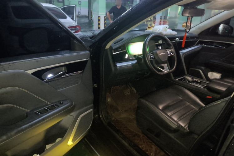 Used Venucia Star 2020 260T Automatic 48V Mild Hybrid Turbocharged Star Edition Driver Seat
