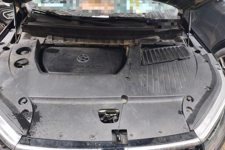 Used Venucia Star 2020 260T Automatic 48V Mild Hybrid Turbocharged Starry Edition Engine Bay