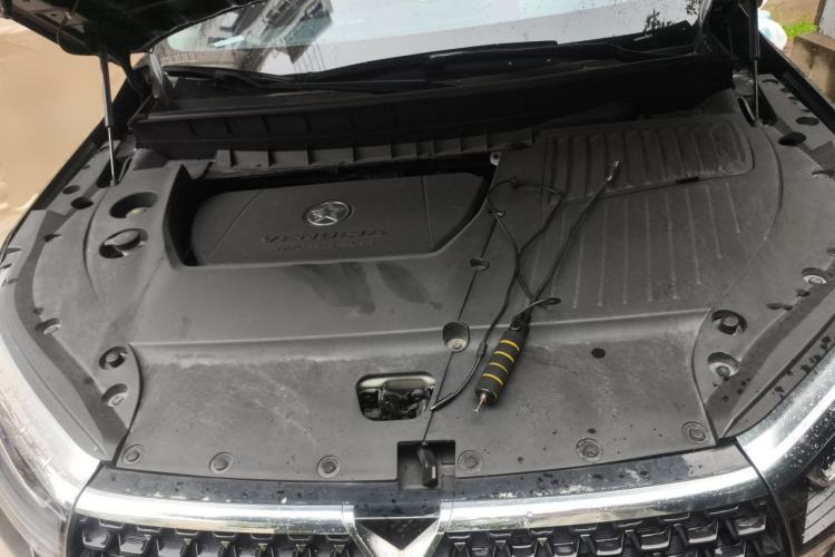 Used Venucia Star 2020 260T Automatic 48V Mild Hybrid Turbocharged Starry Edition Engine Bay