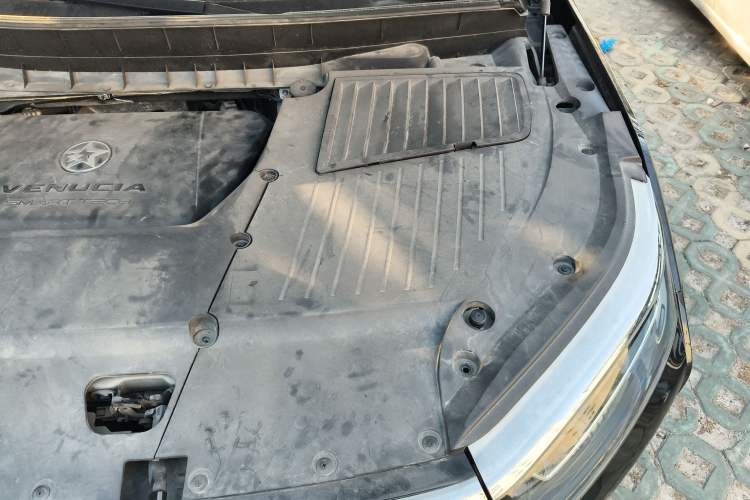 Used Venucia Star 2020 260T Automatic 48V Mild Hybrid Turbocharged Star Edition Engine Bay Left