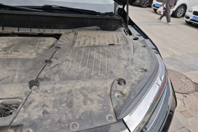Used Venucia Star 2020 260T Automatic 48V Mild Hybrid Turbocharged Star Edition Engine Bay Left