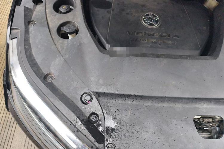Used Venucia Star 2020 260T Automatic 48V Mild Hybrid Turbocharged Starry Edition Engine Bay Right