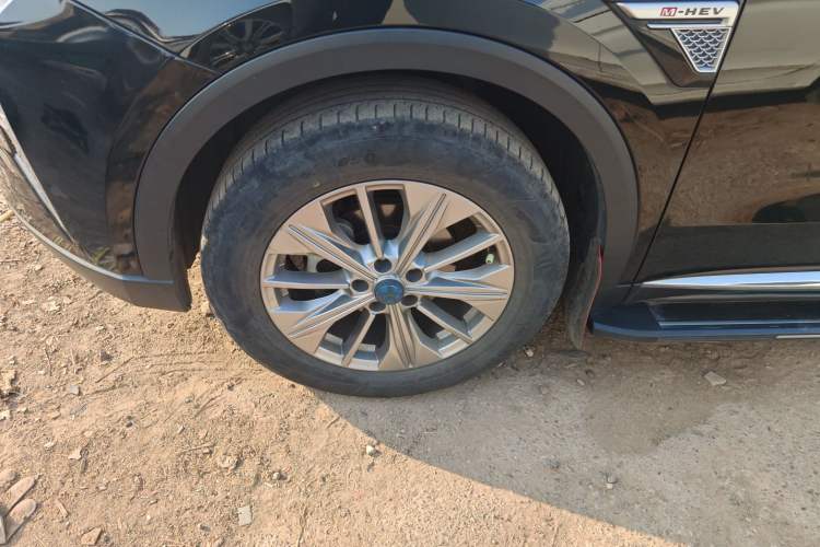Used Venucia Star 2020 260T Automatic 48V Mild Hybrid Turbocharged Star Edition Exterior 7