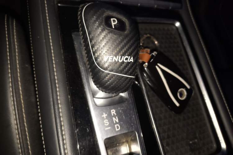 Used Venucia Star 2020 260T Automatic 48V Mild Hybrid Turbocharged Star Edition Gear Lever