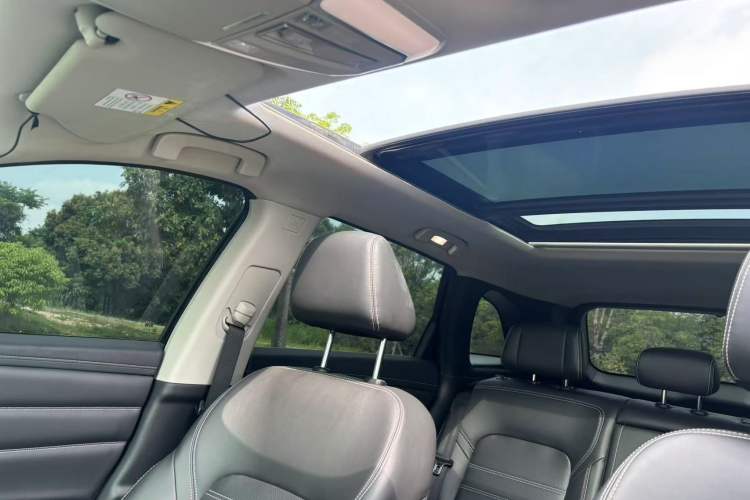 Used Venucia Star 2020 260T Automatic 48V Mild Hybrid Turbocharged Star Edition Headliner