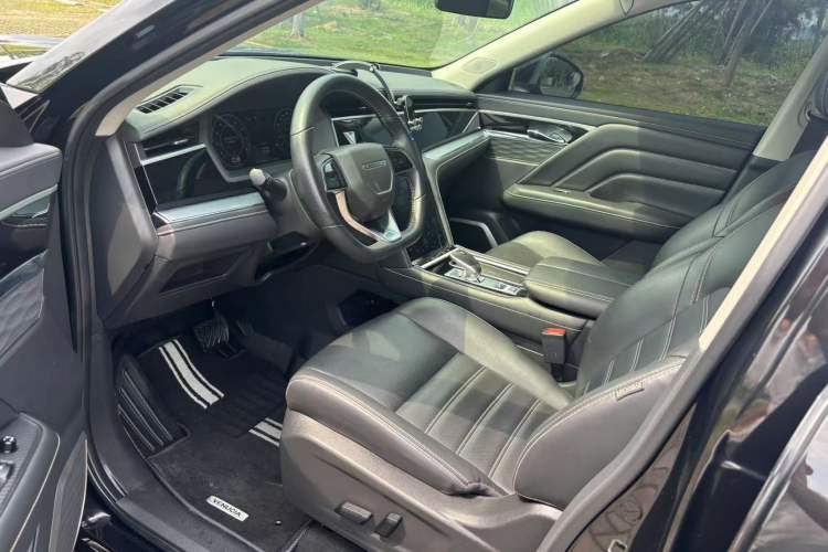 Used Venucia Star 2020 260T Automatic 48V Mild Hybrid Turbocharged Star Edition Interior 3