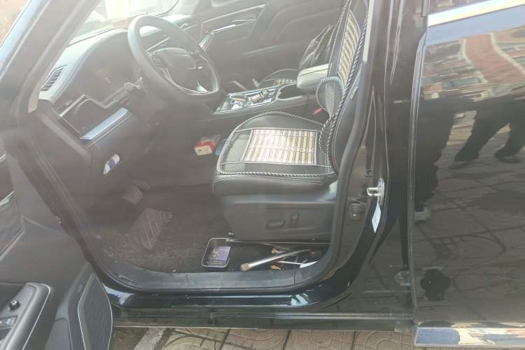 Used Venucia Star 2020 260T Automatic XingShang Edition Left Front Seat