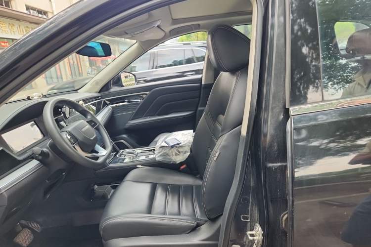 Used Venucia Star 2020 260T Automatic XingShang Edition Left Front Seat