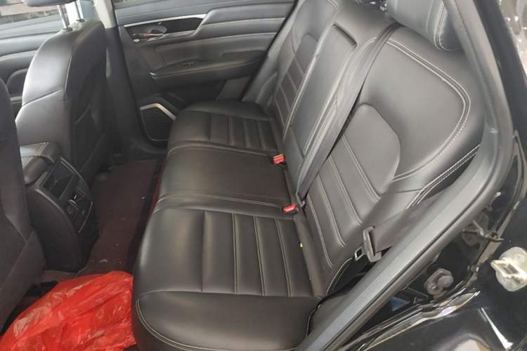 Used Venucia Star 2020 260T Automatic 48V Mild Hybrid Turbocharged Star Edition Left Rear Seat