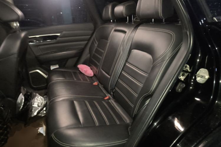 Used Venucia Star 2020 260T Automatic 48V Mild Hybrid Turbocharged Star Edition Left Rear Seat