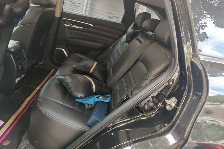 Used Venucia Star 2020 260T Automatic 48V Mild Hybrid Turbocharged Star Edition Left Rear Seat
