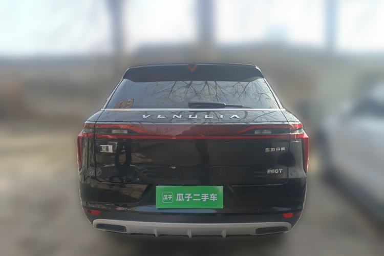 Used Venucia Star 2020 260T Automatic XingShang Edition Rear