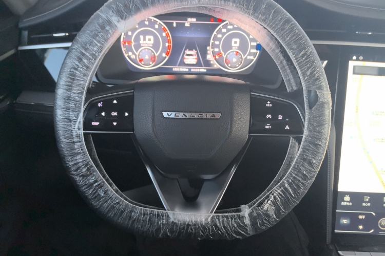 Used Venucia Star 2020 260T Automatic 48V Mild Hybrid Turbocharged Star Edition Steering Wheel
