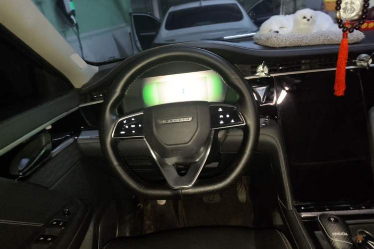 Used Venucia Star 2020 260T Automatic 48V Mild Hybrid Turbocharged Star Edition Steering Wheel