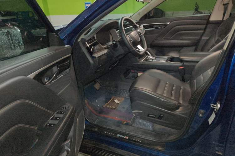 Used Venucia Star 2020 260T Automatic 48V Mild Hybrid Turbocharged Star Edition Driver Seat