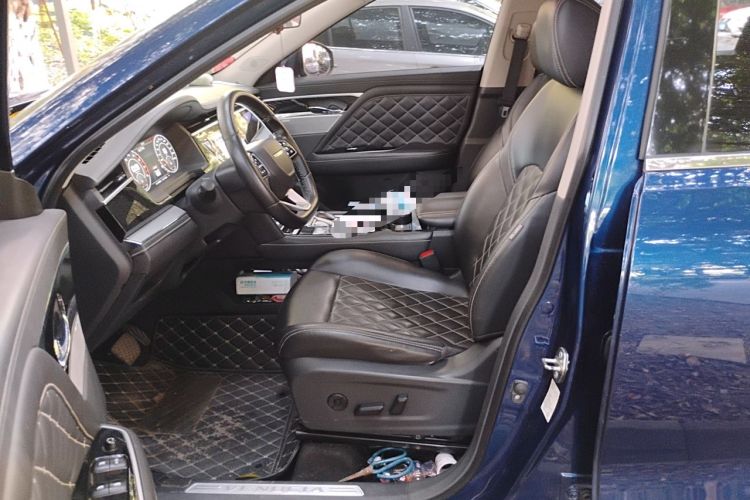 Used Venucia Star 2020 260T Automatic 48V Mild Hybrid Turbocharged Starry Edition Driver Seat