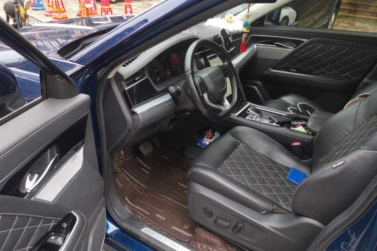 Used Venucia Star 2020 260T Automatic 48V Mild Hybrid Turbocharged StarRui Edition Driver Seat