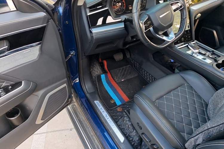 Used Venucia Star 2020 260T Automatic 48V Mild Hybrid Turbocharged Starry Edition Driver Seat