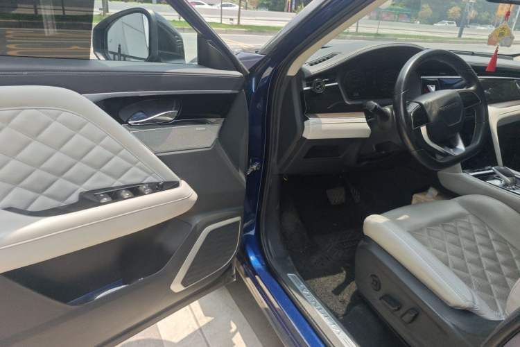 Used Venucia Star 2020 260T Automatic 48V Mild Hybrid Turbocharged Starry Edition Driver Seat